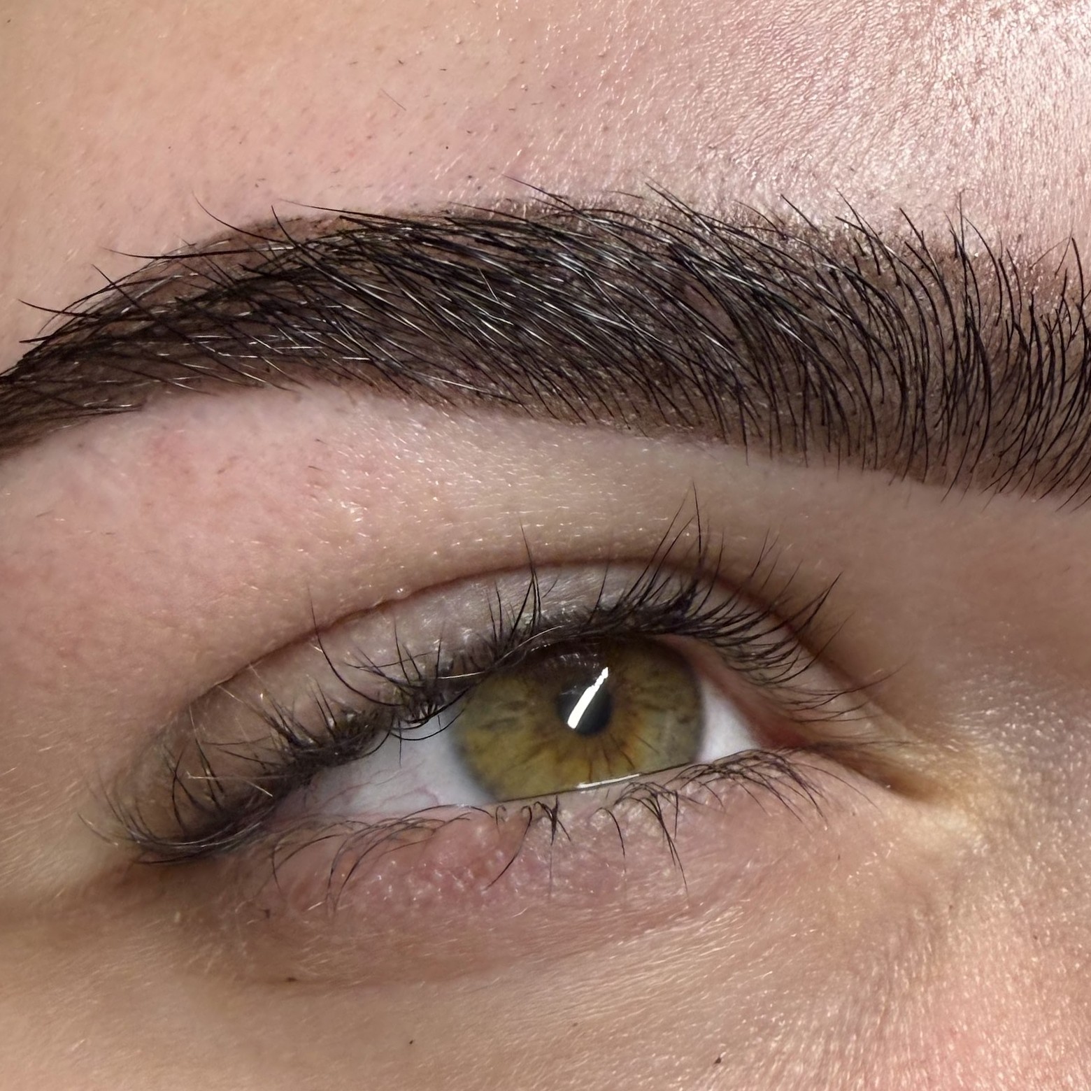 Volle, donkere wenkbrauw in een strakke boog boven een groen oog