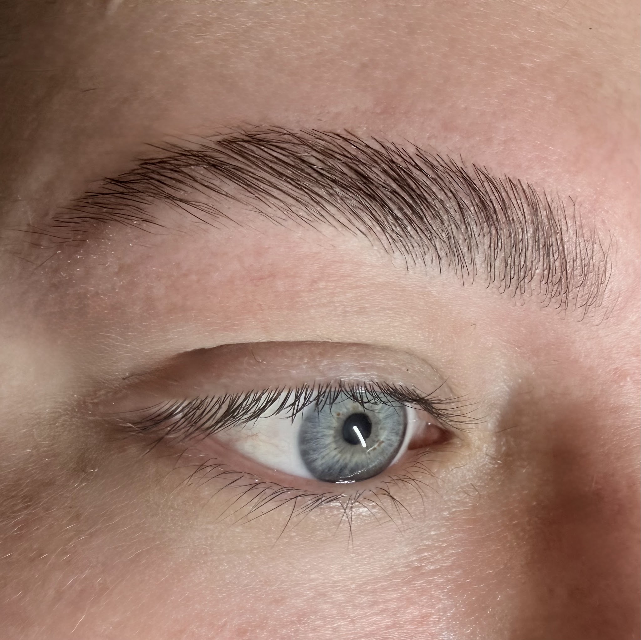 Close-up van een natuurlijke, gelamineerde wenkbrauw boven een blauw oog